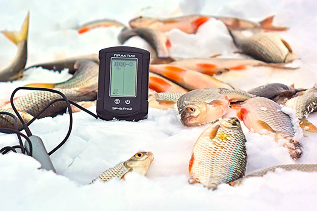 Что выбрать эхолот или камеру для зимней рыбалки