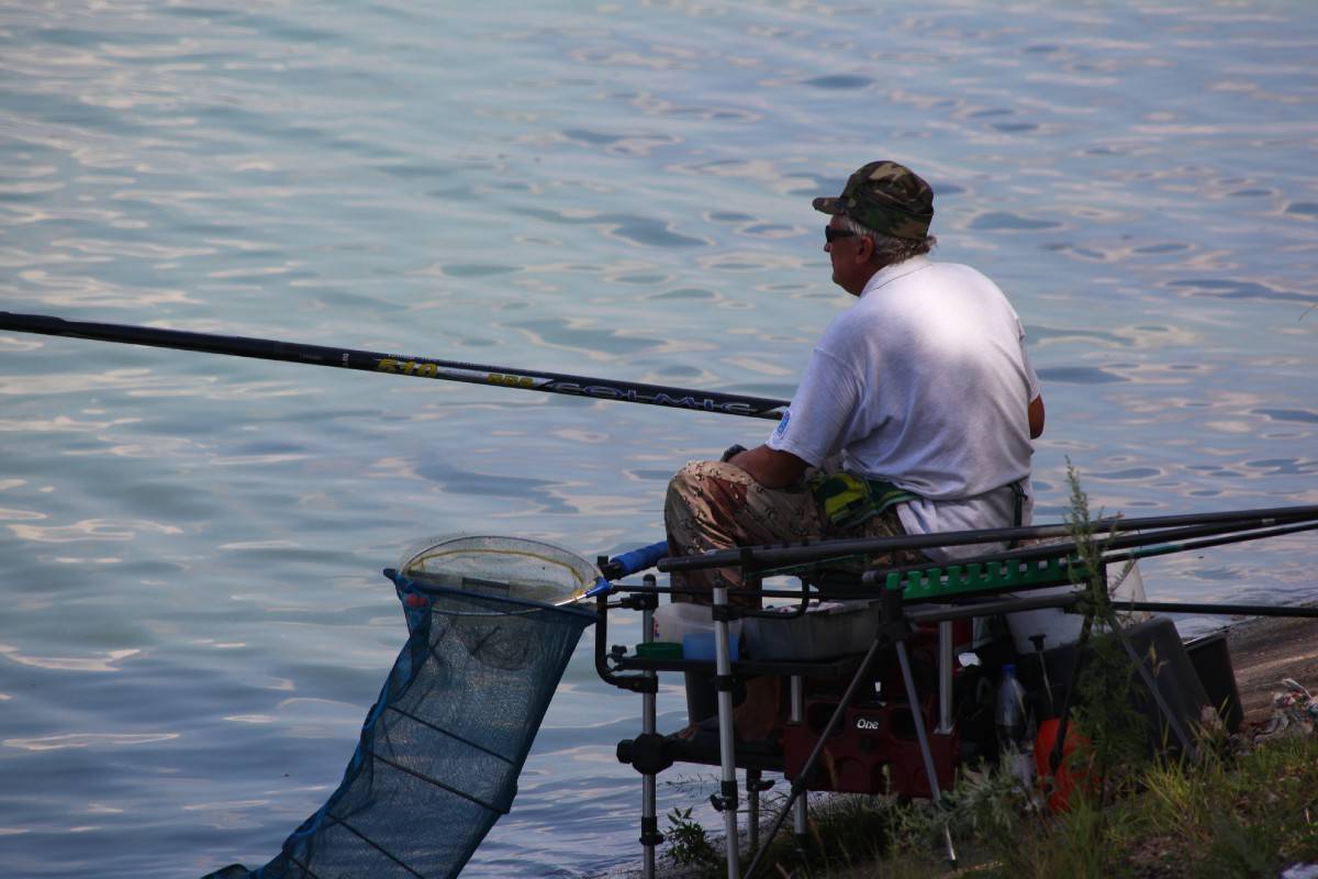 Платная рыбалка в самарской области: рыболовные туры, охотничьи базы и водоемы самары