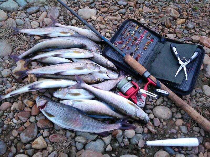 Рыбалка на ангаре - про рыбалку