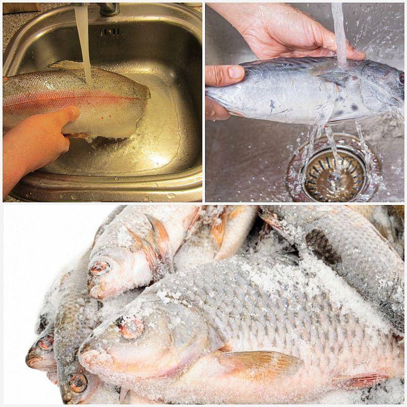 Как разморозить рыбу