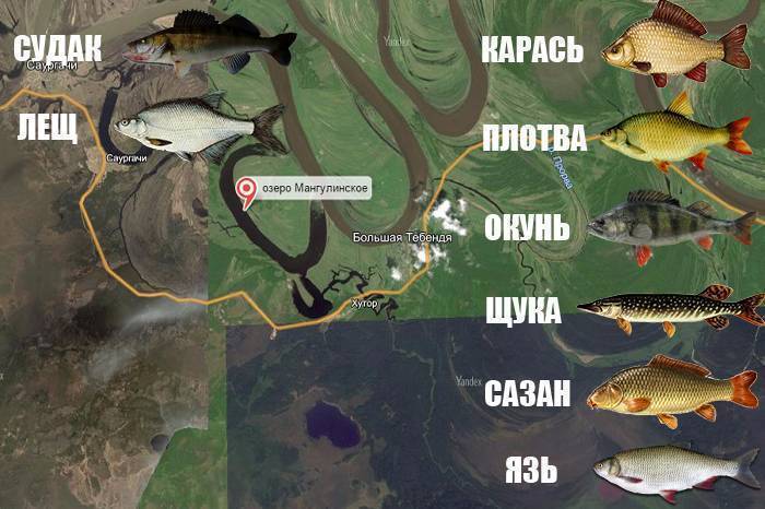 Карта рыболовных мест ставропольского края