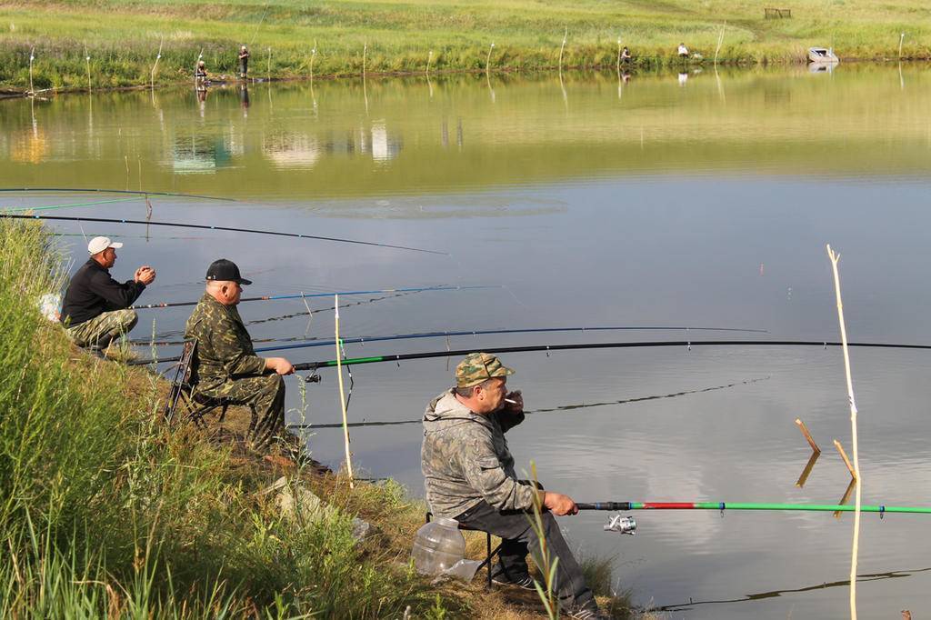 Рыбалка в забайкальском крае - читайте на сatcher.fish