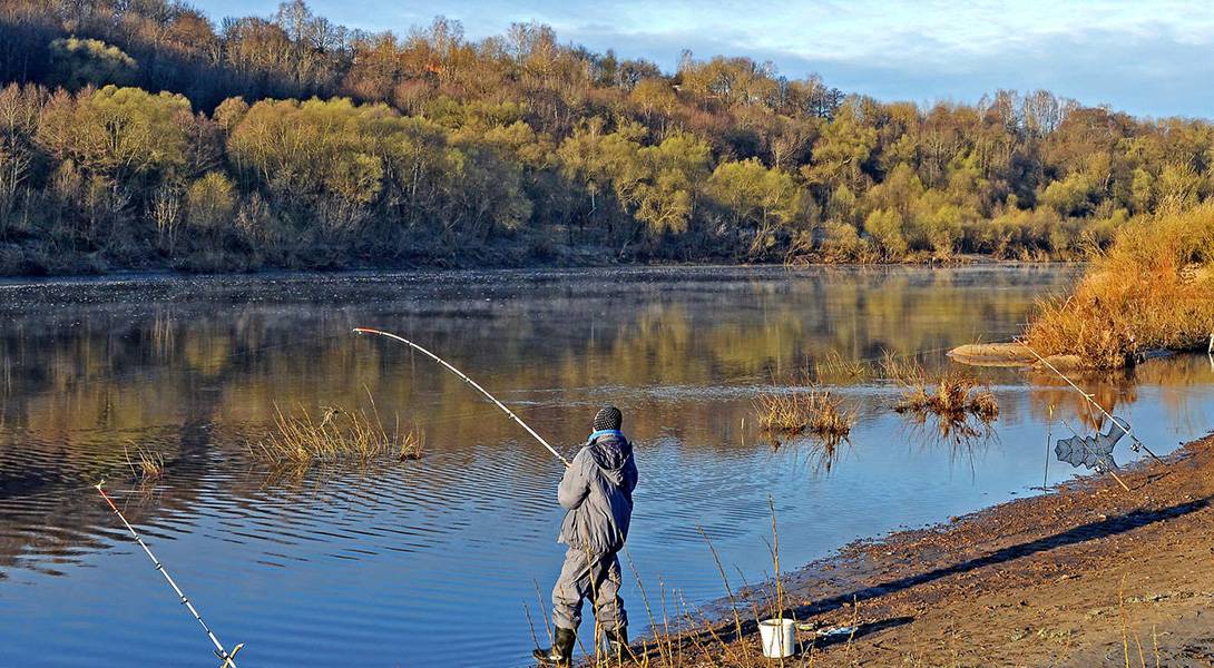 Топ мест для рыбалки в спб и ленинградской области