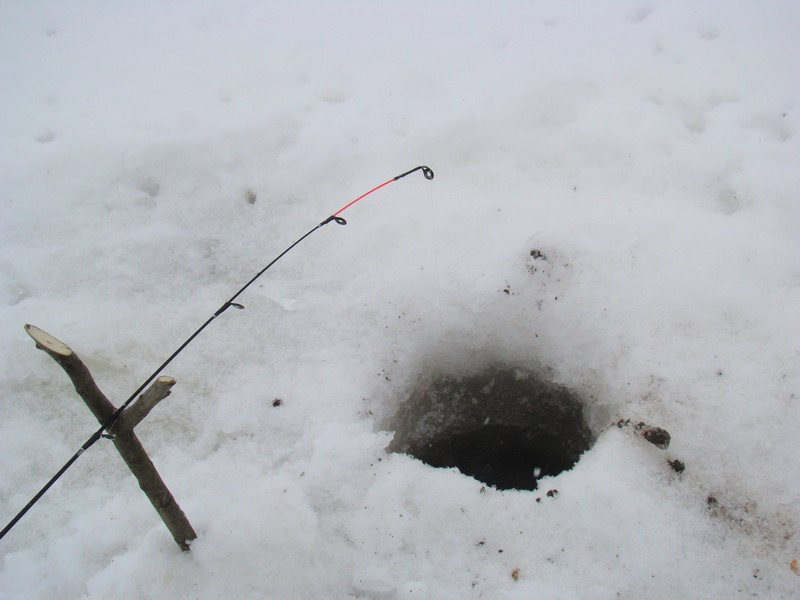Зимний фидер: оснастка со льда, как сделать своими руками, его монтаж и ловля на стоячей воде, схема и фото