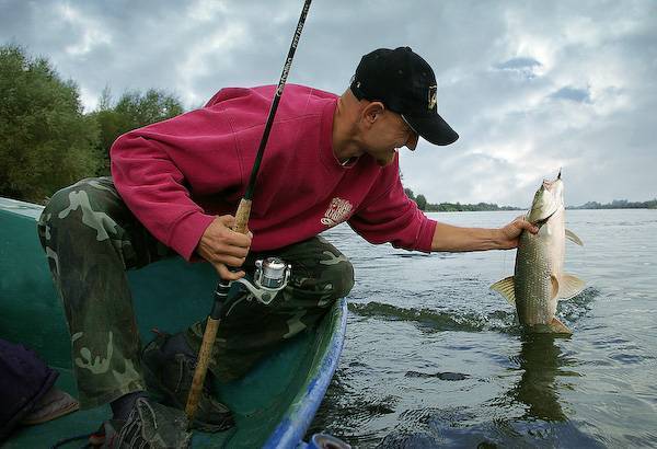 Как ловить живую рыбу руками и можно ли это сделать