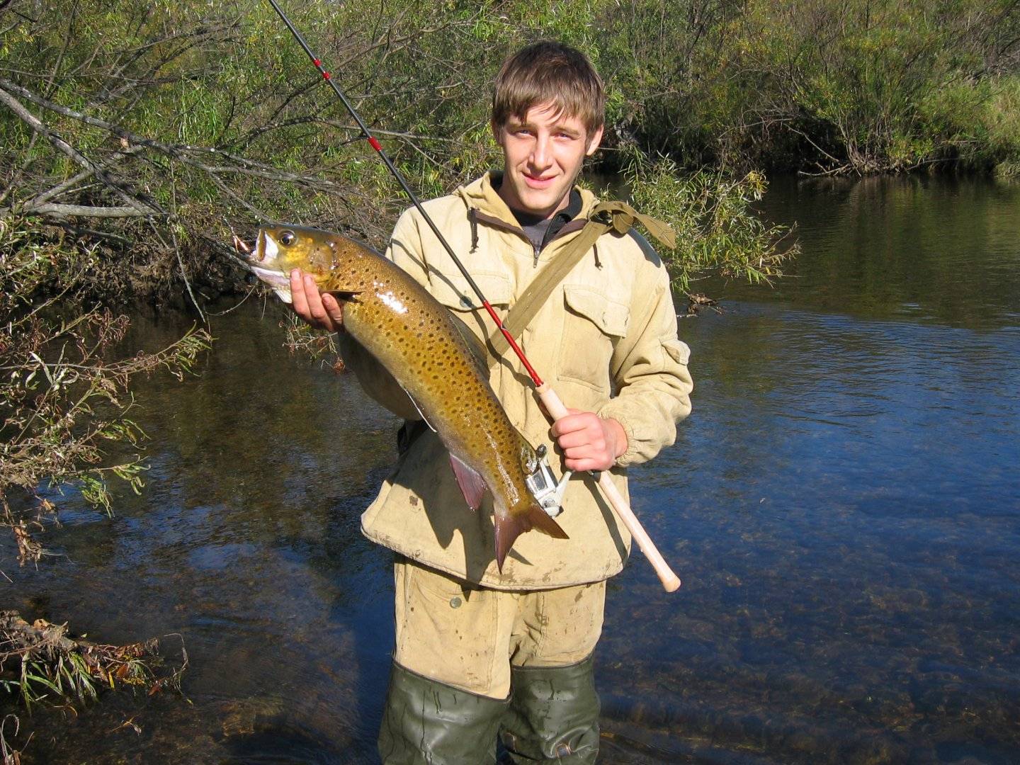 Рыбалка в дмитровском районе московской области, особенности ловли на реке сестра, в поселке «рыбное»