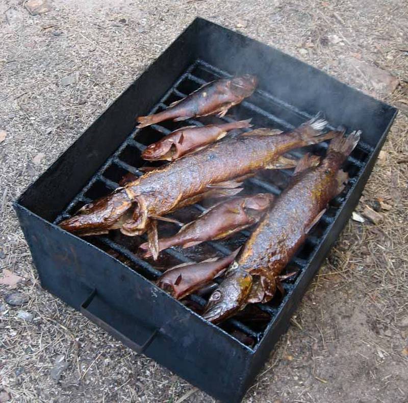 Как делают рыбу холодного копчения: подготовка рыбы, технология копчения - handskill.ru
