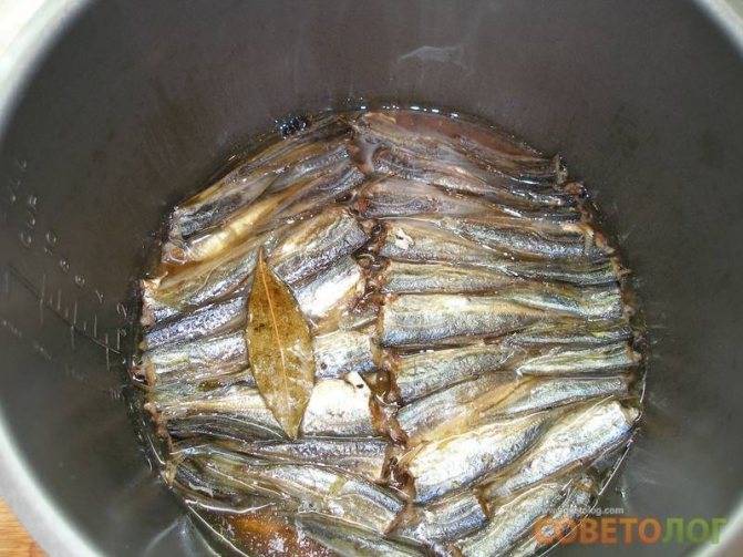 Рыбные консервы в мультиварке: рецепты приготовления из морской и речной рыбы
