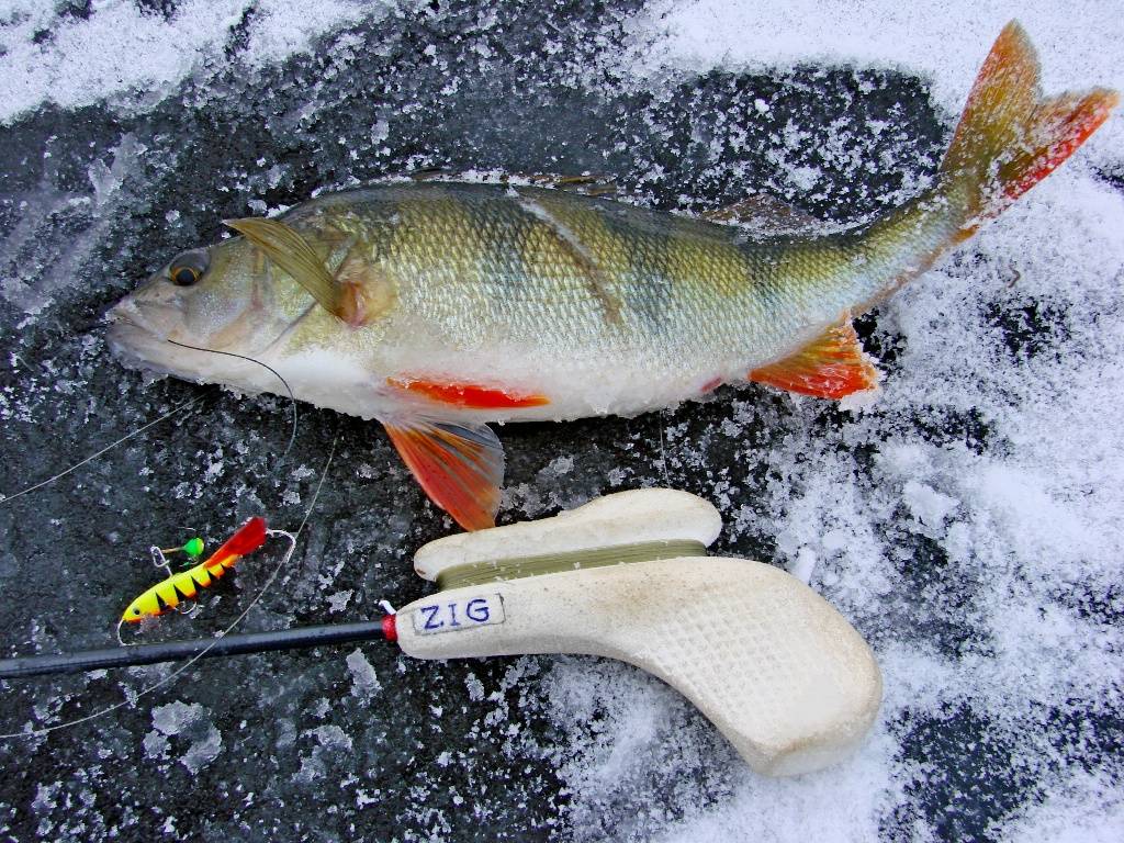 Зимняя рыбалка на окуня