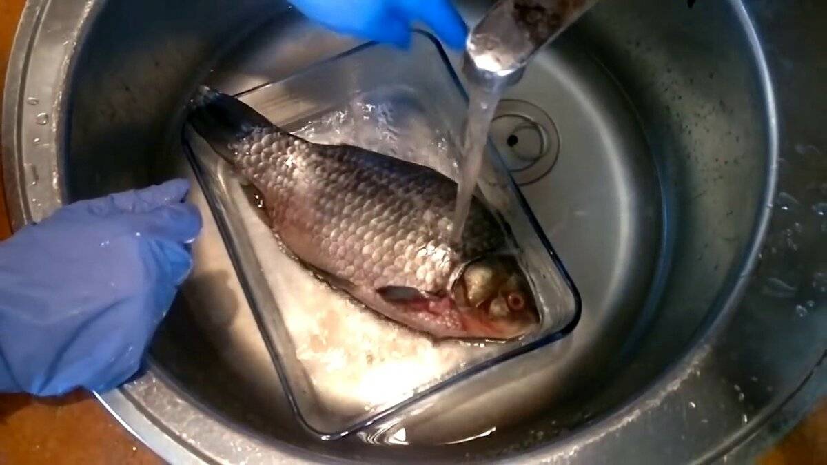Как правильно чистить рыбу