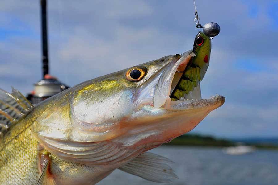 Рыбалка в астрахани в апреле — где и что ловится