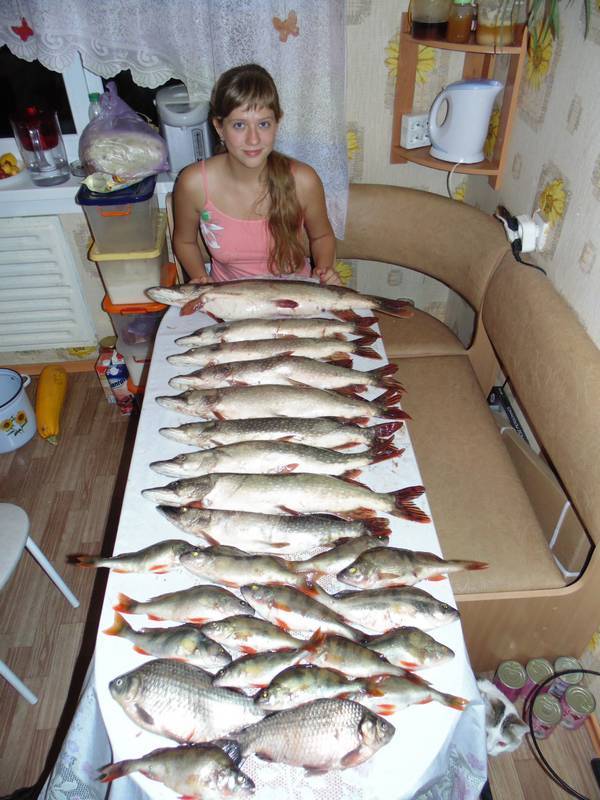 Барнаулка: рыбалка и какая рыба водится
