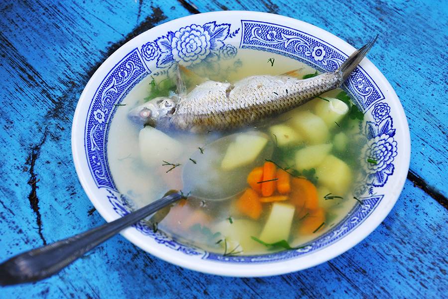 ✅ как варить уху дома из речной рыбы рецепт - обедспб.рф