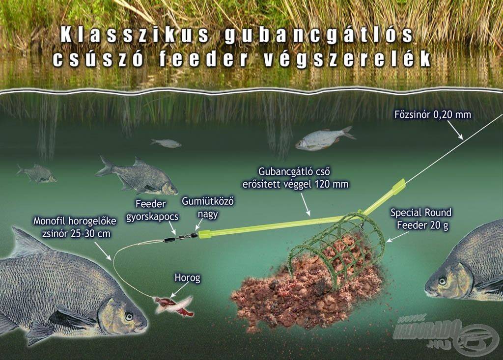 Выбор и применение спиннинга для ловли голавля в различных водоемах