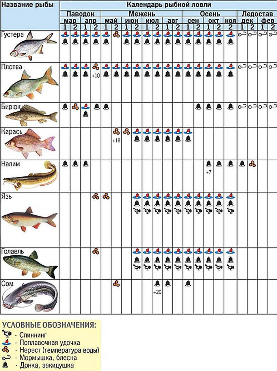 Как ловить рыбу на перловку чтобы рыба клевала | советы рыбакам