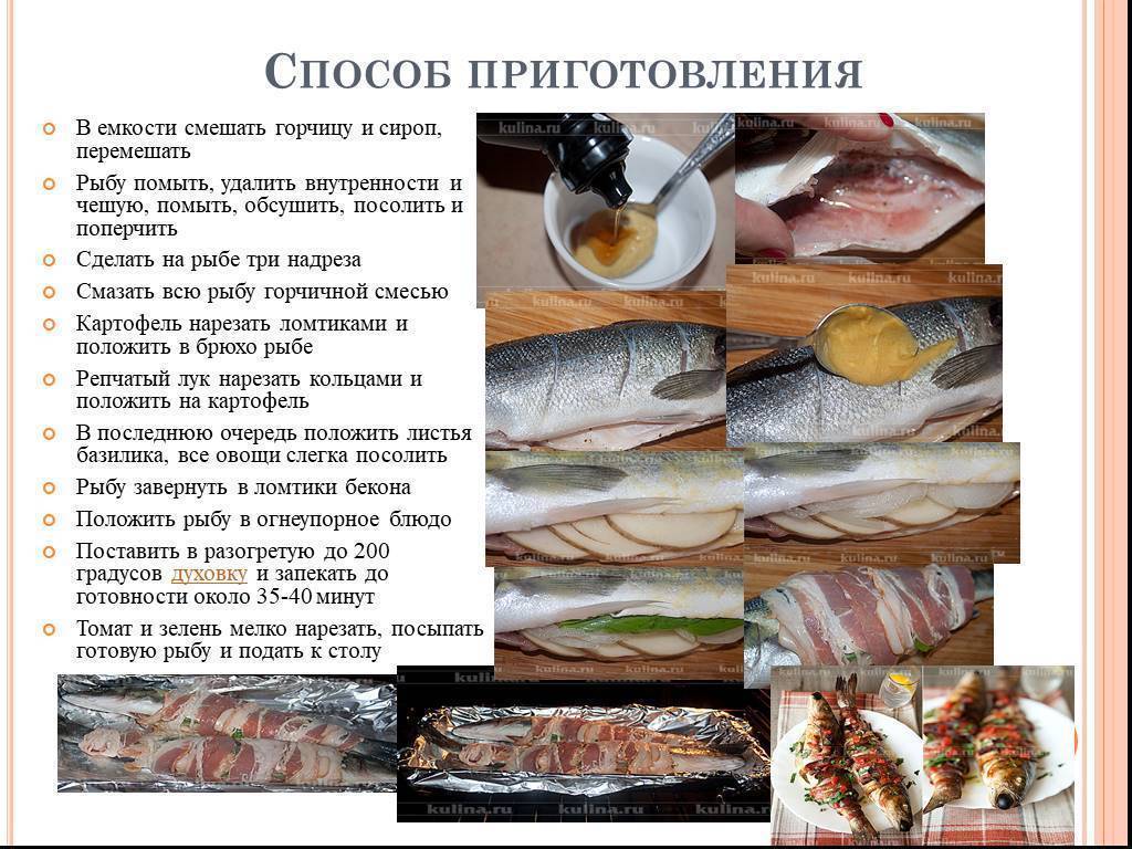 Как приготовить рыбу нототению — рецепты приготовления, польза и вред