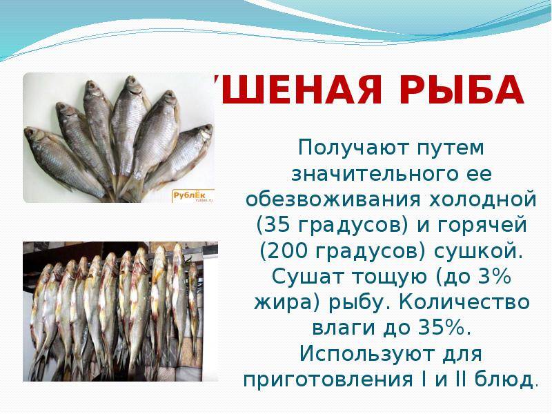 Как засушить рыбу самостоятельно? :: syl.ru