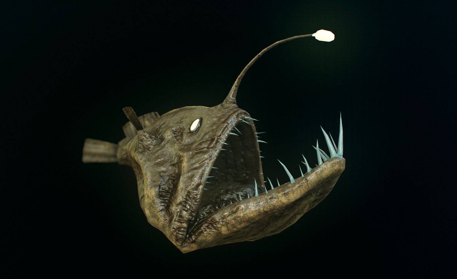 Рыба с огоньком. описание глубоководной рыбы с фонариком на голове