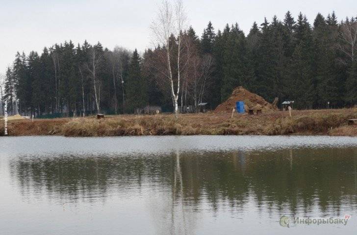 Денятинский карась. рыбалка во владимирской области.