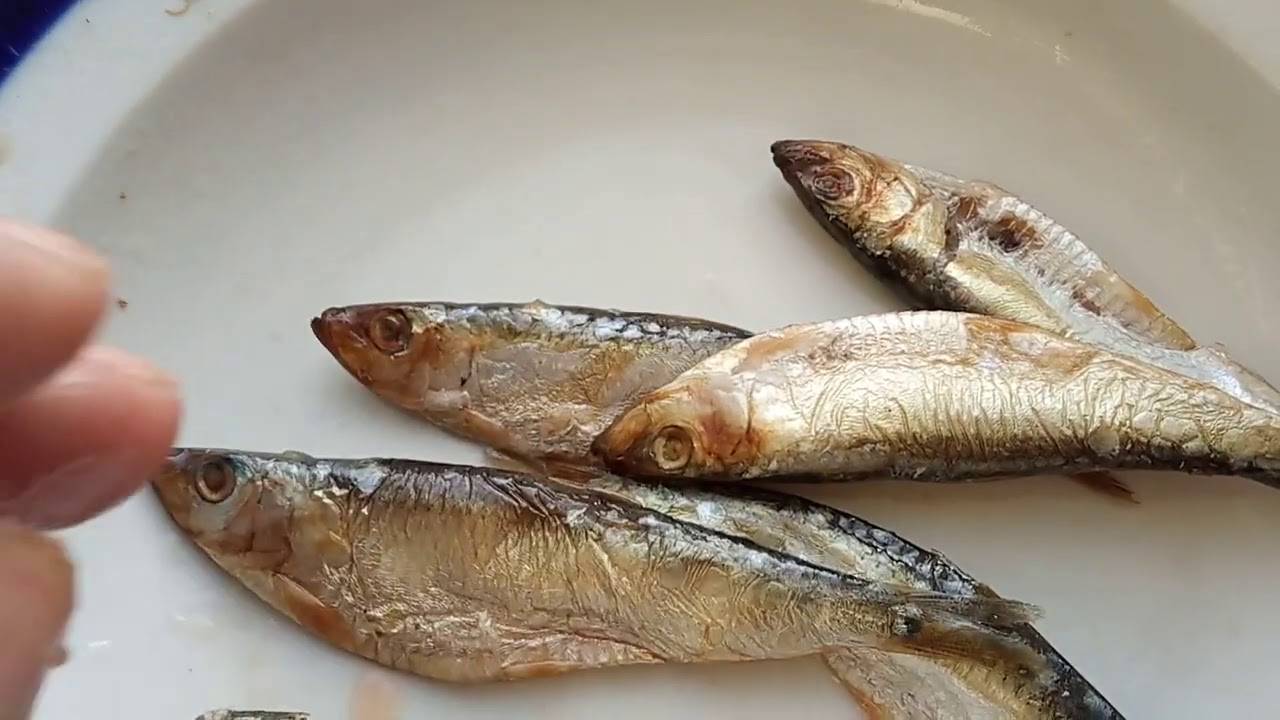 ᐉ салака запечённая - рыбные рецепты - ✅ ribalka-snasti.ru