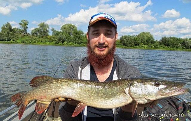 Рыбалка на оке в серпуховском районе, платные и бесплатные водоемы