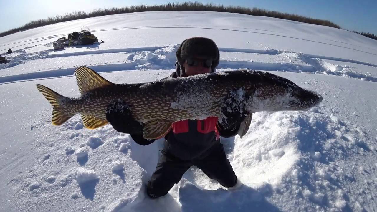 Рыбалка в якутии зимой - все про рыбалку