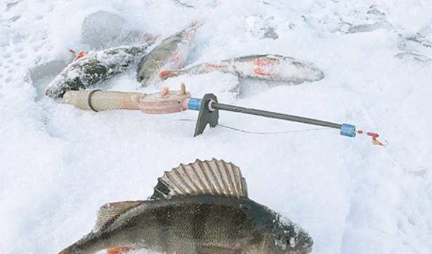 Рыбалка в глухозимье – поведение рыбы и как её ловить