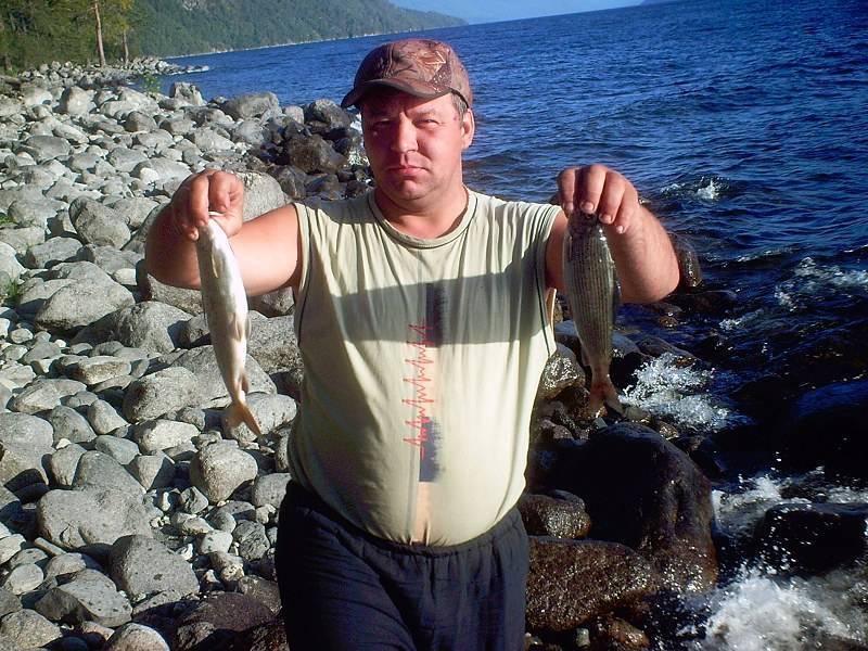 Рыбы телецкого озера -  алтай туристский. туристический портал