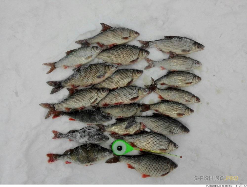 Подледная рыбалка на горьковском водохранилище — советы и рекомендации