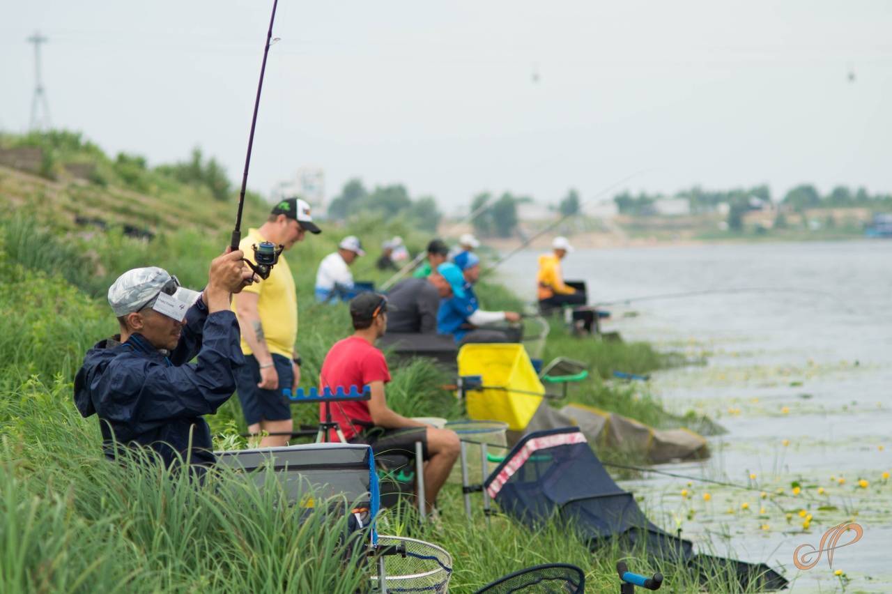 Летняя и зимняя рыбалка в новгородской области - отчеты, видео, карта мест, платная рыбалка на новгородчине