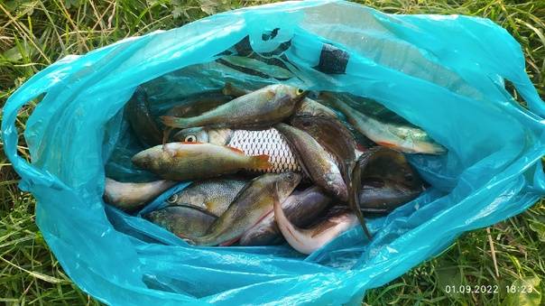 Рыбалка в орловской области и рыбалка в орле: платная и бесплатная