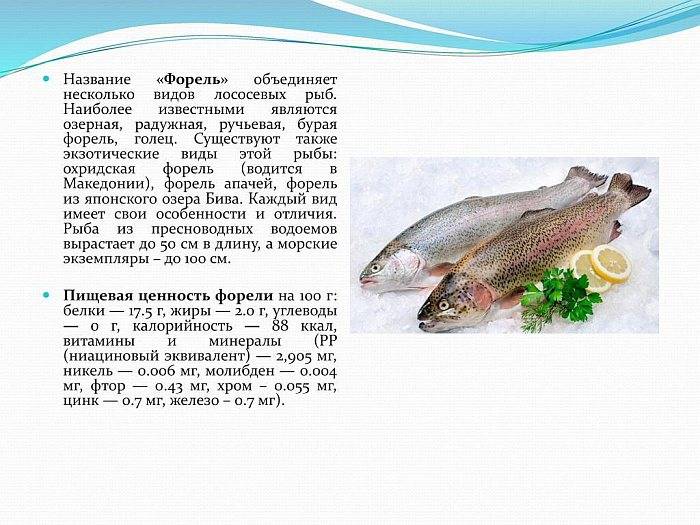 Форель – калорийность и польза рыбы, вред и противопоказания