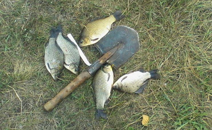 ✅ рыбалка в набережных челнах места - danafish.ru