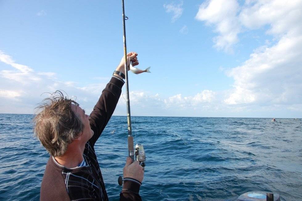 Особенности рыбалки в крыму на море, с берега