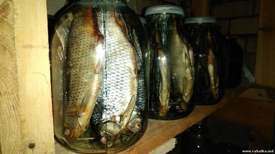 Как вялить рыбу в домашних условиях? рецепт вяления речной рыбы