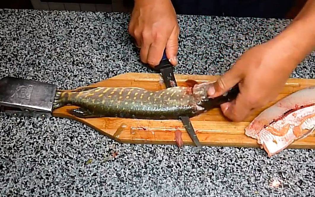 Как оторвать кожу у свежей рыбы. удаление кожи с рыбы чулком. процесс фарширования рыбы