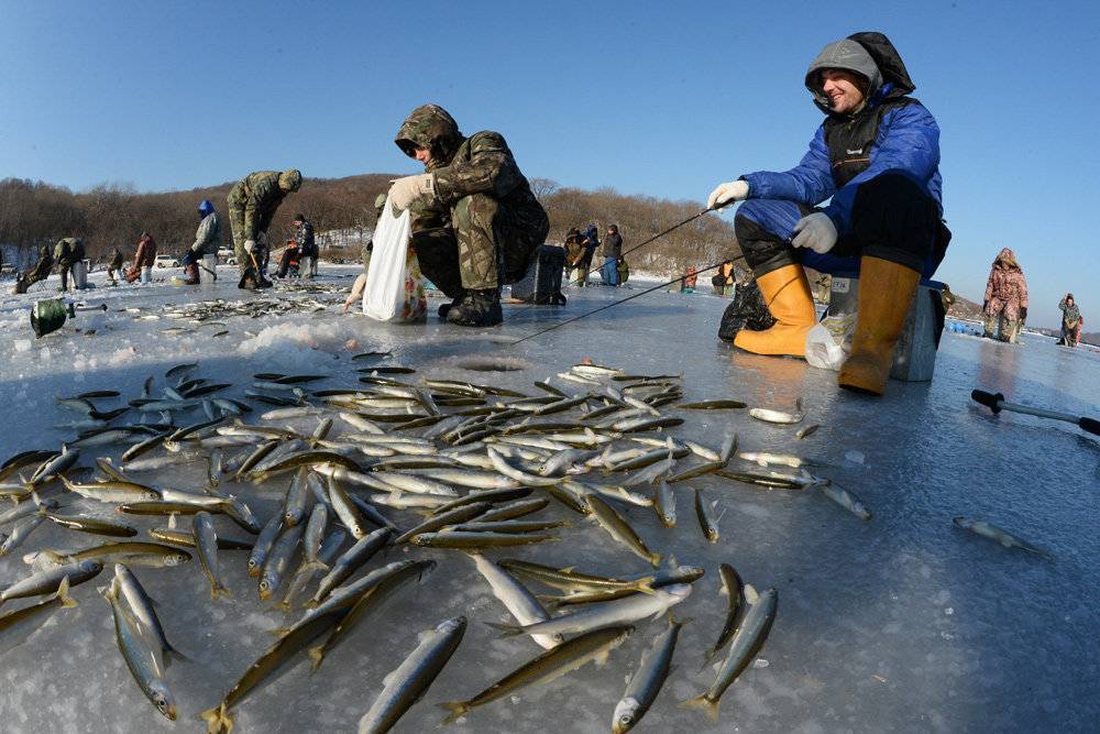 Места для рыбалки в приморском крае – платная и бесплатная рыбалка!