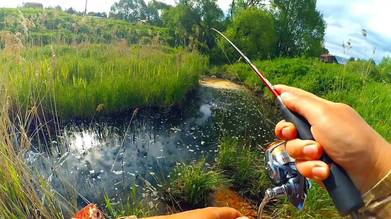 Ловля на микроджиг - статьи о рыбалке