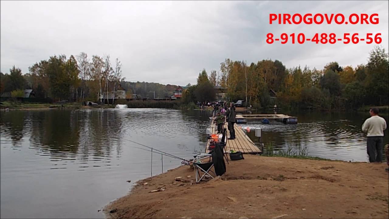 ᐉ пироговское водохранилище - место для рыбака - ✅ ribalka-snasti.ru