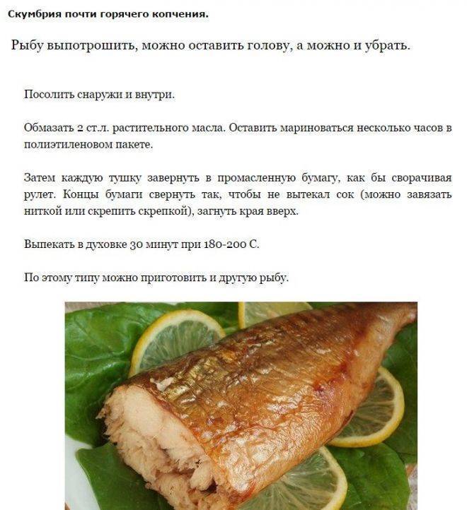 Рецепты засолки рыбы в домашних условиях
