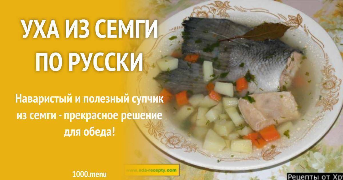 Рыбный суп из головы семги — пошаговый рецепт с фото