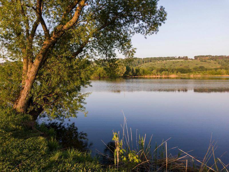 Куда поехать на рыбалку в белгородской области и белгороде и запрет 2021