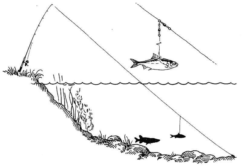 Пошаговая инструкция по изготовлению рыболовных снастей своими руками