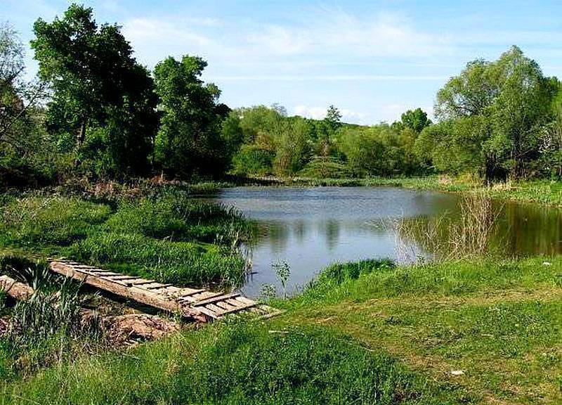 40 лучших рыболовных мест в кировской области. платные и бесплатные