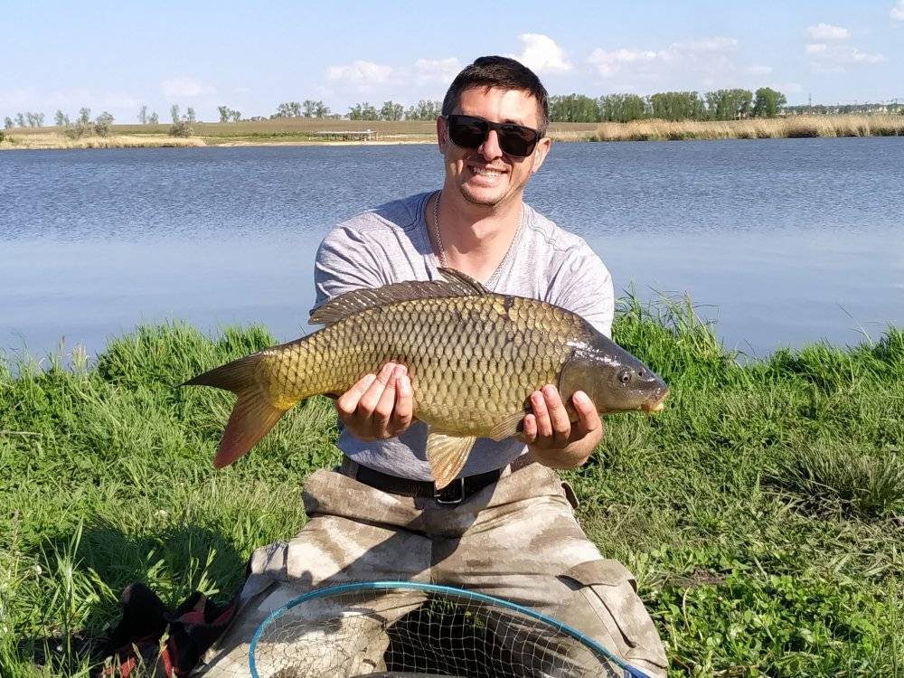 Рыбалка в ставропольском крае — отзывы, лучшие места для ловли в ставрополе