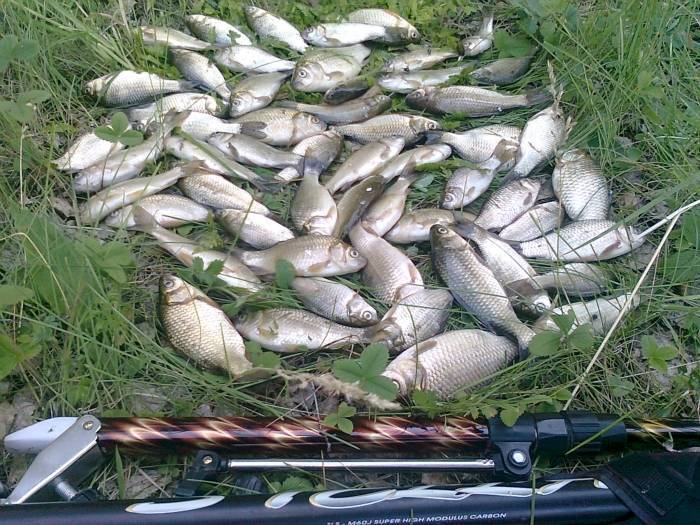 Рыбалка на оби: особенности ловли рыбы на реке в разную пору года