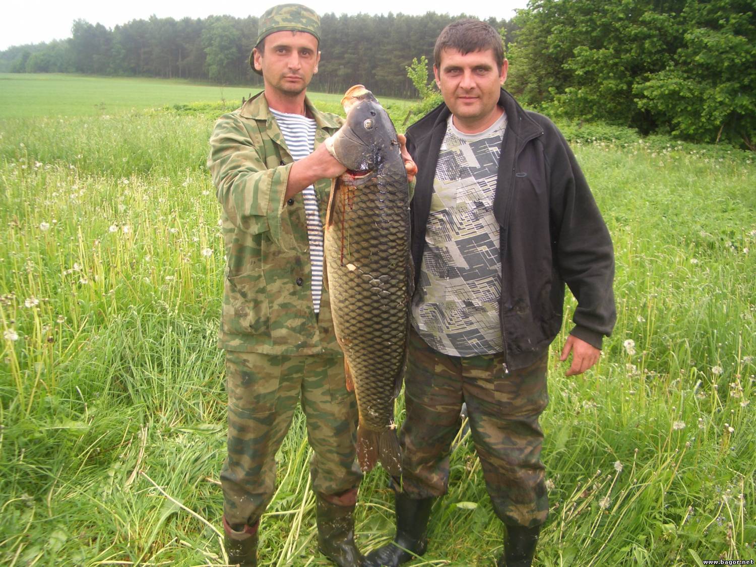Запрет на ловлю рыбы в беларуси в 2021 году: общие сроки по областям и по видам рыб