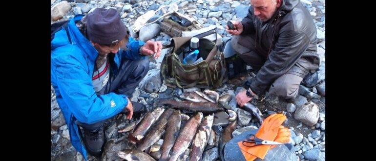Зимняя рыбалка в декабре: ловля по открытой воде, необходимые снасти