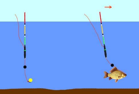 Поклевка, подсечка и вываживание рыбы на фидер
