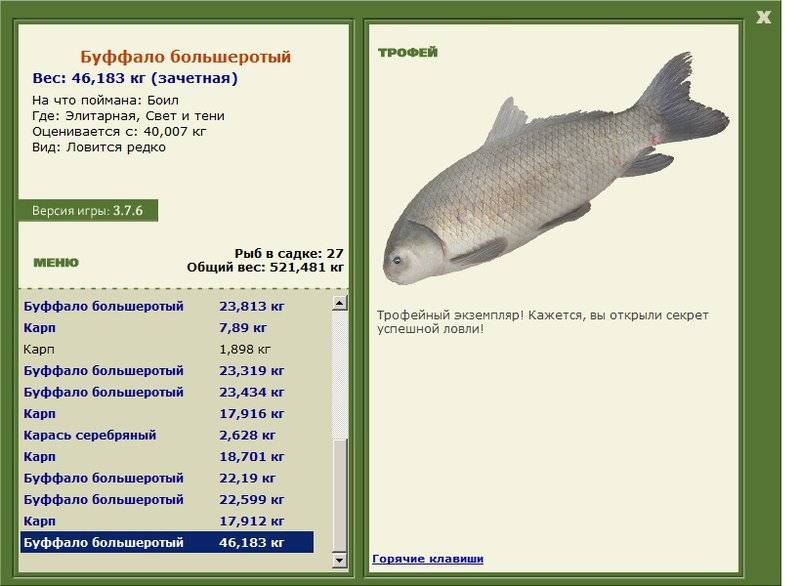Рыба буффало: фото, описание жизненного цикла, места обитания, особенности ловли